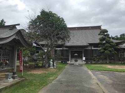 東漸寺,見どころ,ほし