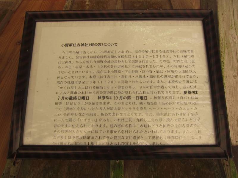 住吉神社  (蛙の宮),兵庫県丹波篠山市今田町上小野原３０