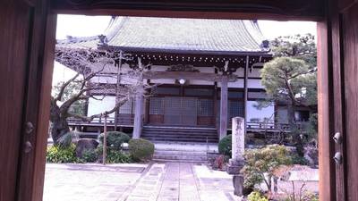 眞福寺,見どころ,にゃーこ