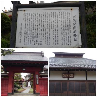 西笑院,見どころ,あおつき