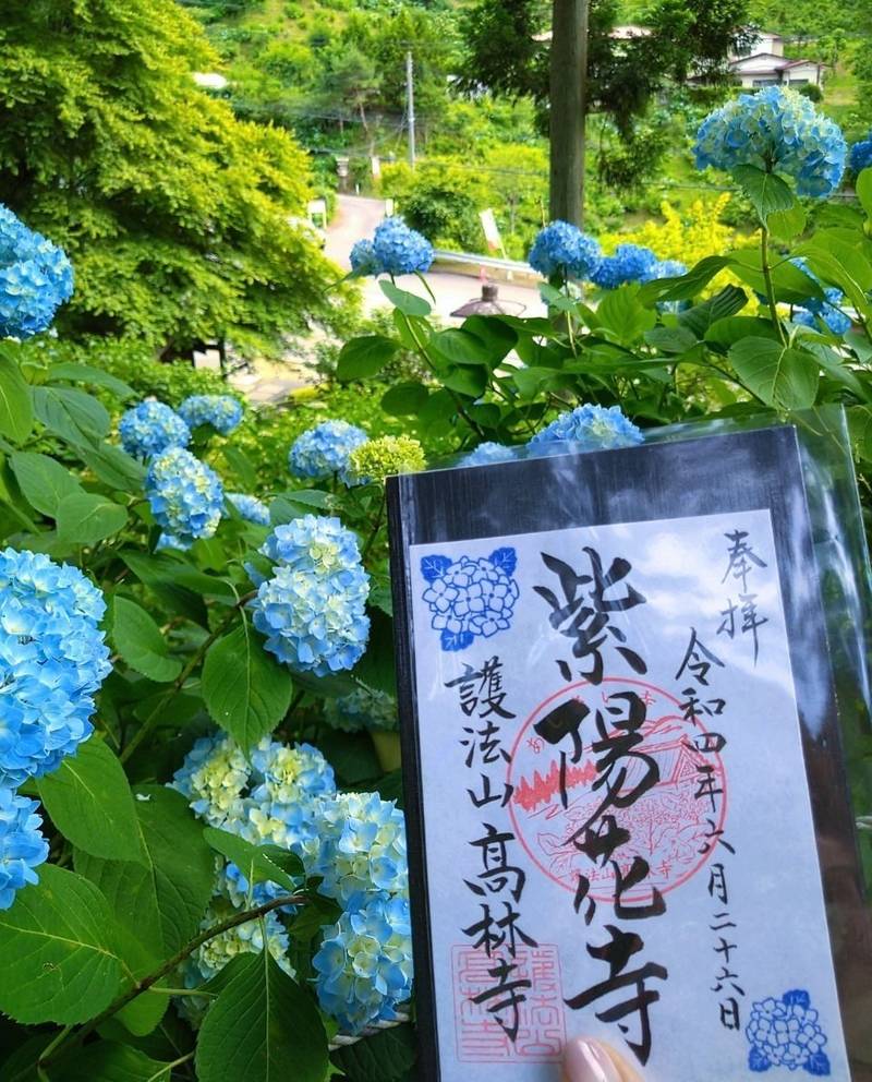 高林寺 紫陽花寺 御朱印 二本松市 福島県 Omairi おまいり