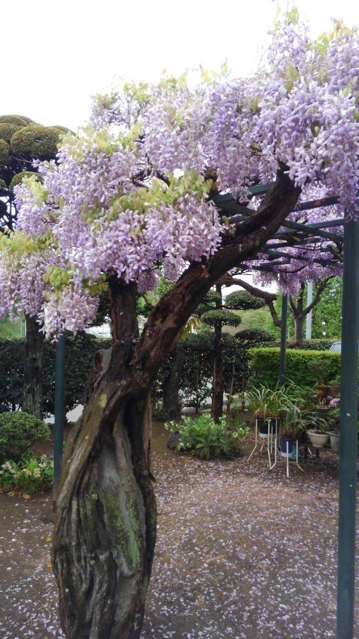西笑院,東京都八王子市山田町1560