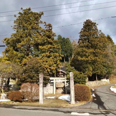 多根神社,見どころ,まちゃき