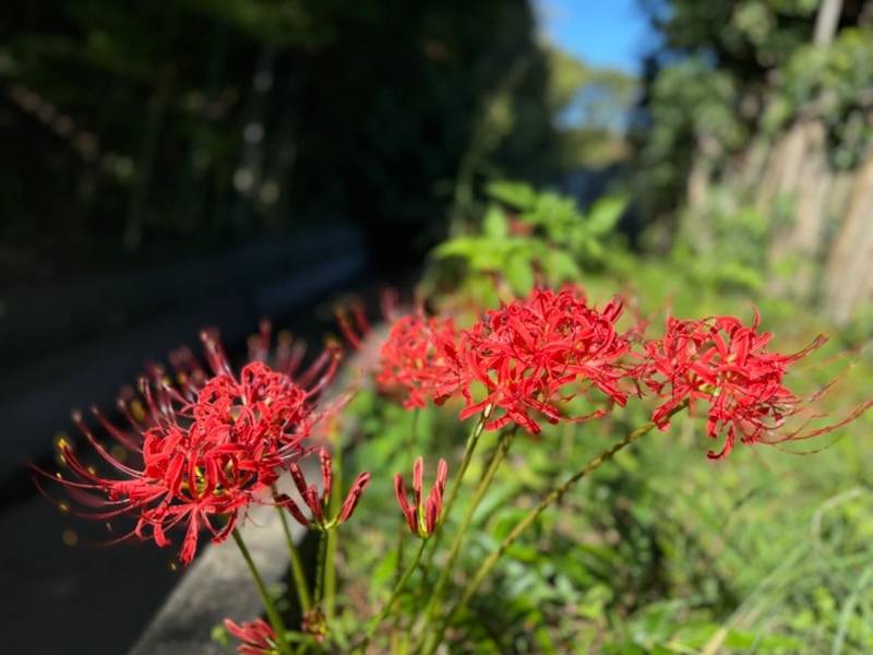 澤村神社,福島県いわき市平下神谷岸前210