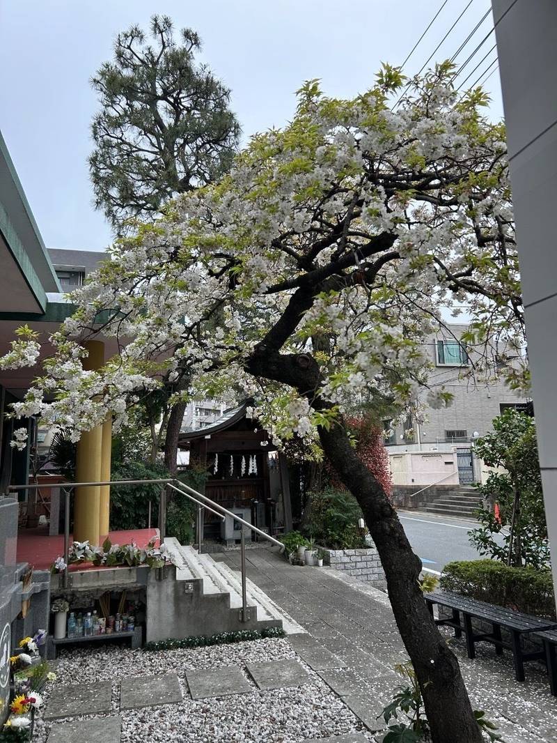善應院,東京都江東区平野１丁目１４−１０