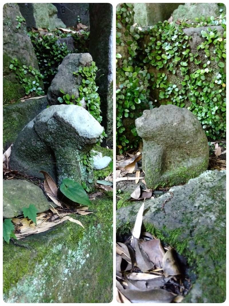 須賀神社,佐賀県小城市小城町松尾3594 