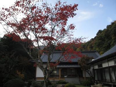円通寺,見どころ,とっちー