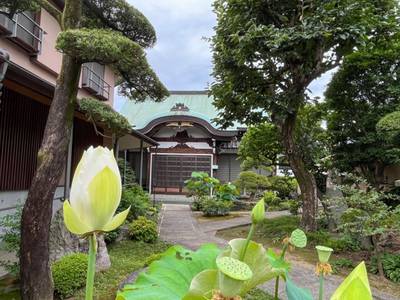 長福寺,見どころ,ほし