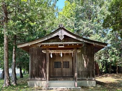 山神社,見どころ,を神