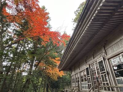 草苅神社,見どころ,小龍