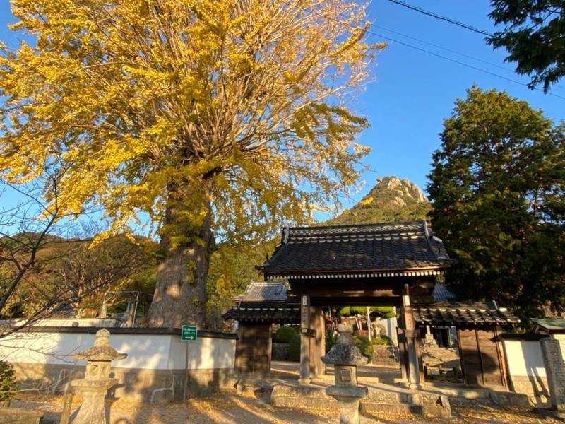 天徳寺,山口県防府市下右田668