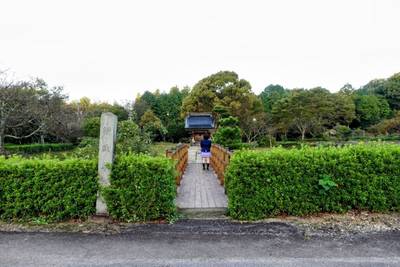 中川寺,見どころ,平沢凛