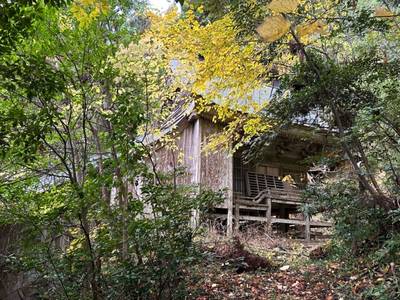 草苅神社,見どころ,小龍