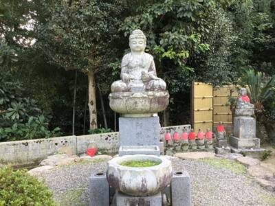 圓照寺,見どころ,rinrin