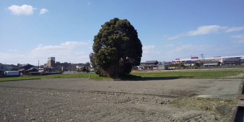 大土御祖神社 (宇治乃奴鬼神社),三重県伊勢市楠部町字尾崎2132