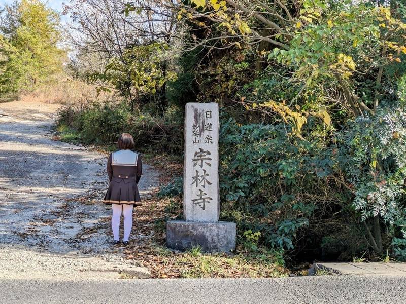 宗林寺 見どころ 瀬戸市/愛知県 Omairi(おまいり)