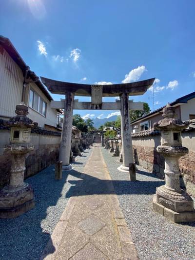 八幡神社,見どころ,ゆらゆらこりこり