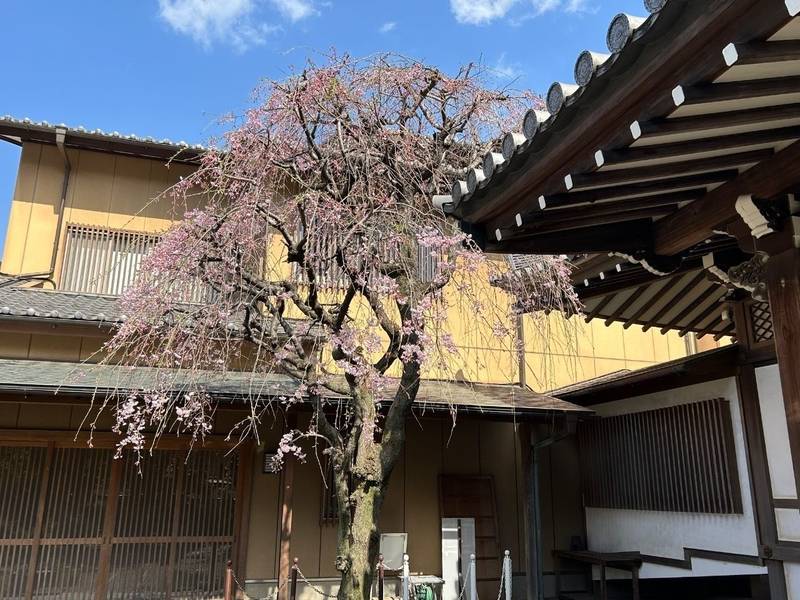 本納寺,東京都豊島区雑司が谷３丁目１９−１４