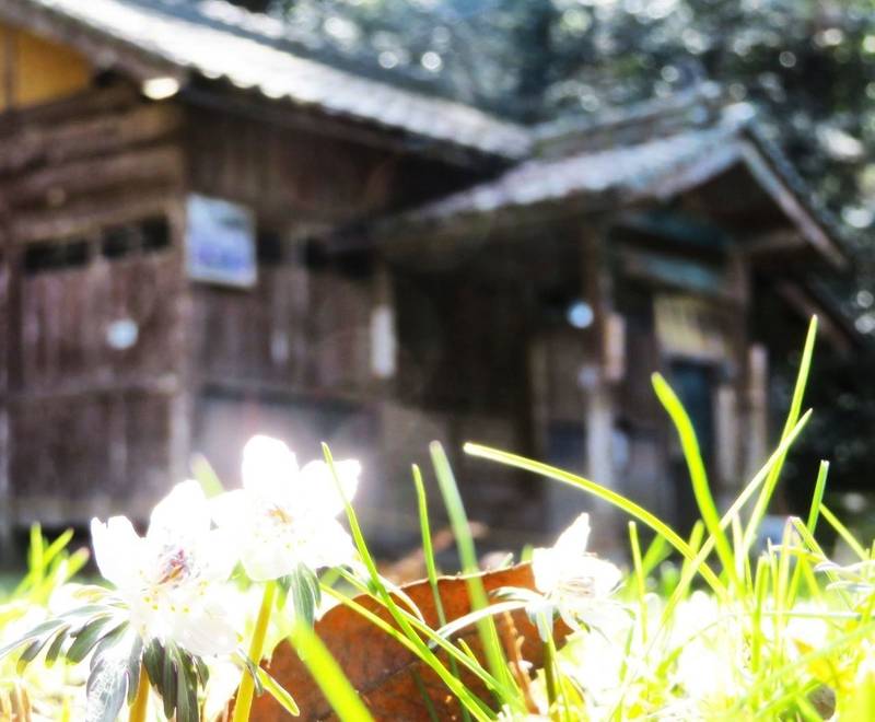 田殿神社,岡山県美作市田殿706