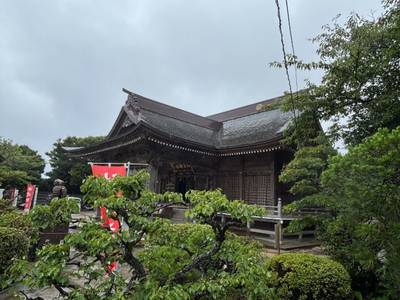 神崎神社 (神﨑神社),見どころ,たまねぎ
