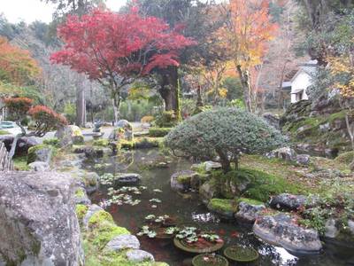 円通寺,見どころ,とっちー