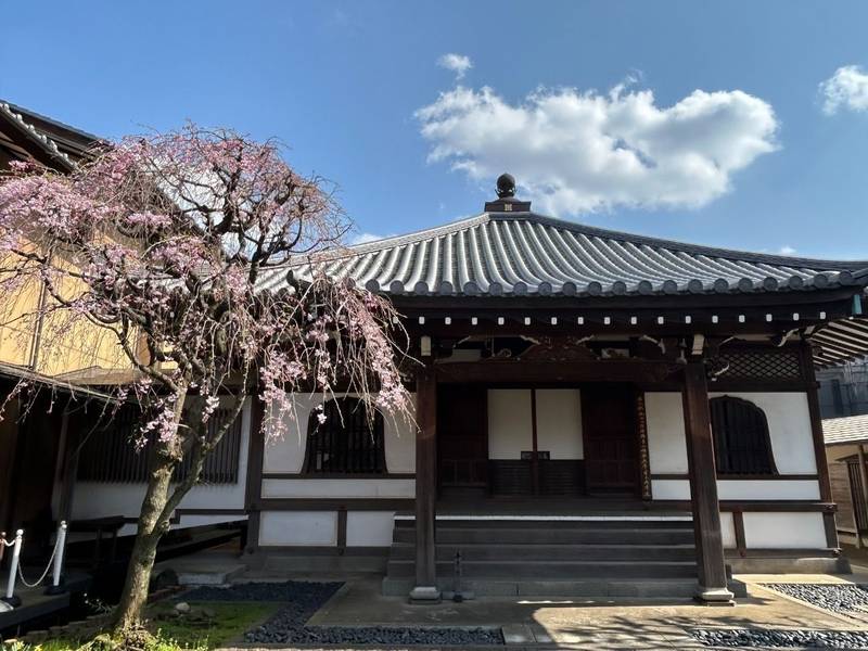 本納寺,東京都豊島区雑司が谷３丁目１９−１４