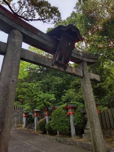 亀森八幡神社,見どころ,まちゃき