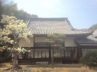徳寿禅院,見どころ,Y.Shiraga