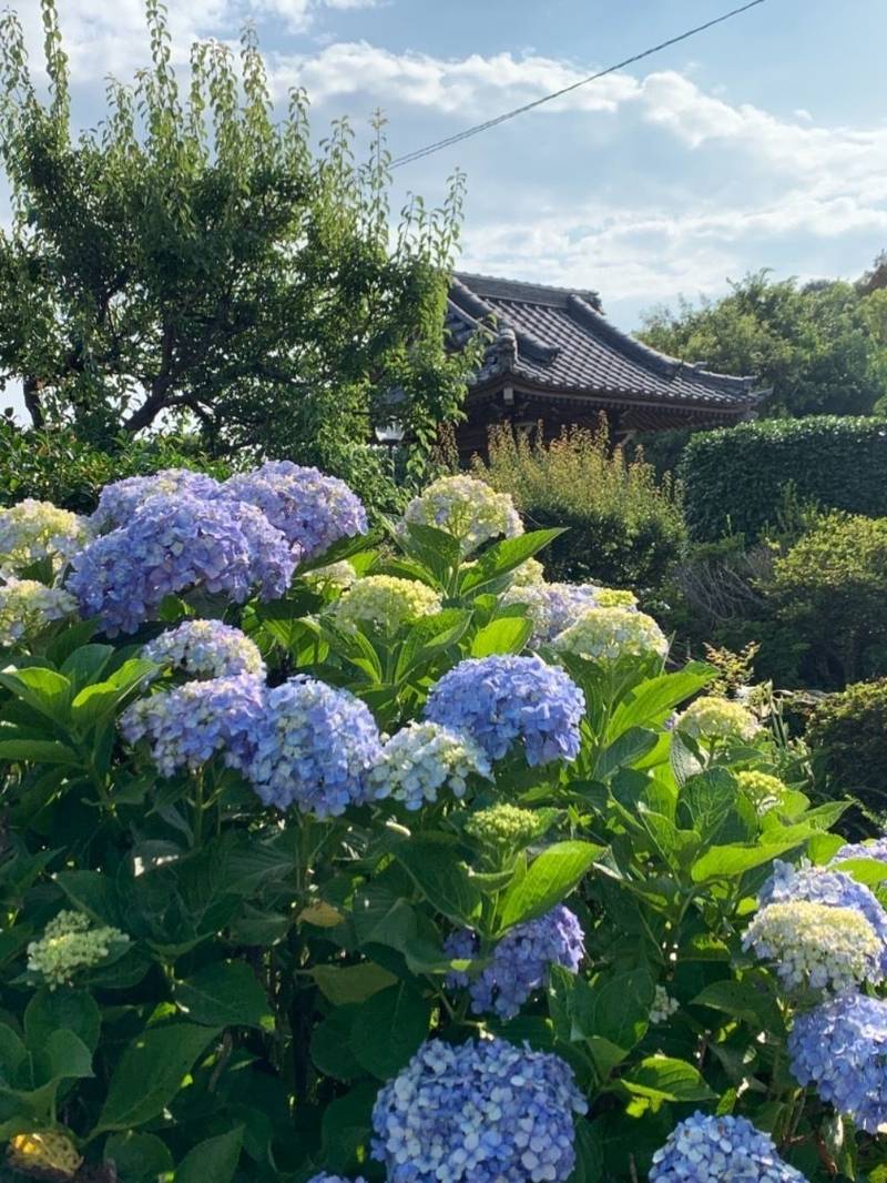赤城山 長昌寺,栃木県足利市高松町450