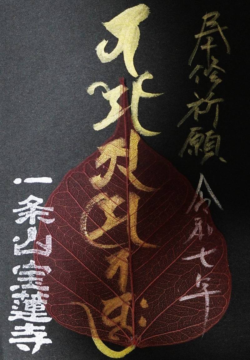 宝蓮寺,愛知県知立市長篠新田東40番地