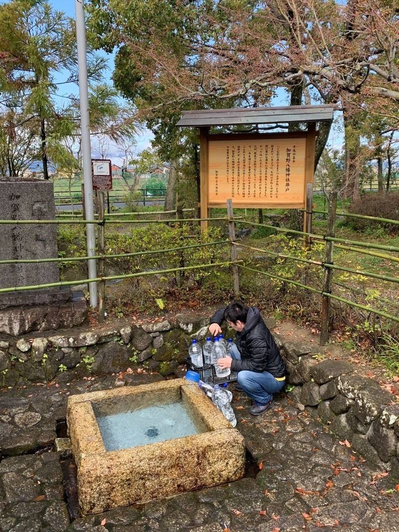 加賀野八幡神社,岐阜県大垣市加賀野1-375ｰ1