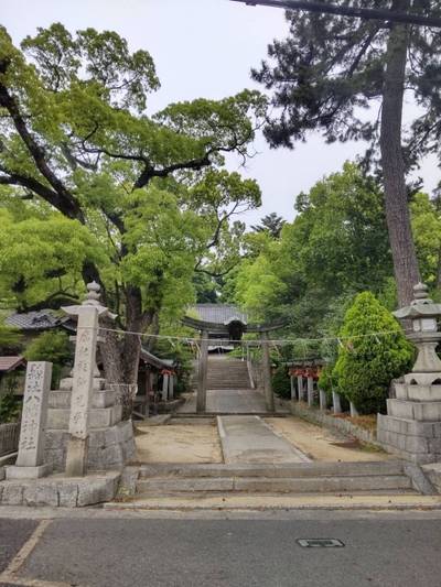 亀森八幡神社,見どころ,まちゃき