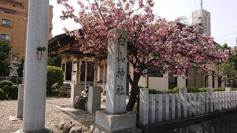 白山神社 (西城),愛知県名古屋市守山区西城２丁目１０−１８