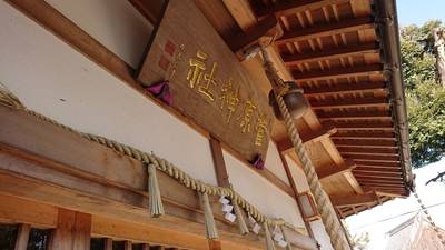 菅原神社,見どころ,Y-chann