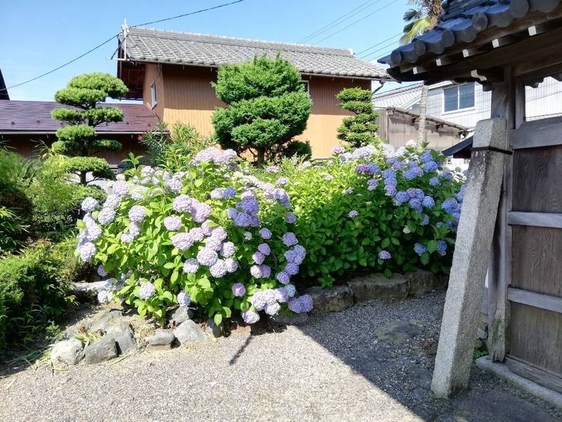 西福寺 (大藪町) 見どころ - 彦根市/滋賀県 | Omairi(おまいり)