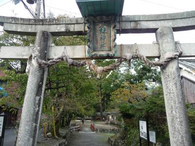 八坂神社,見どころ,kiyo74