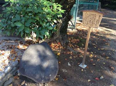 許波多神社 (木幡)