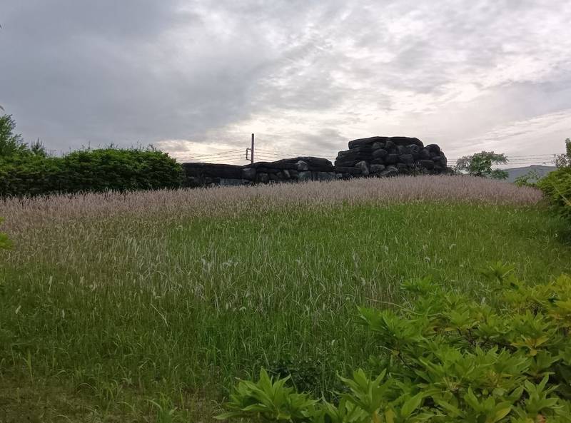 八幡山古墳,埼玉県行田市藤原町1-27-2