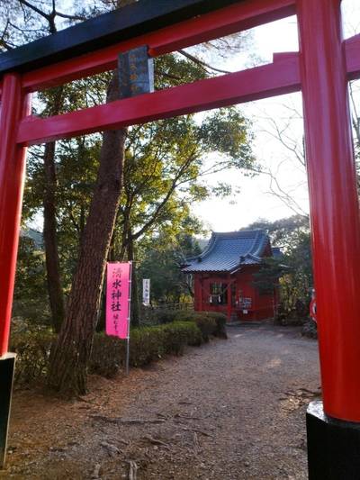 清水神社,見どころ,まりえい