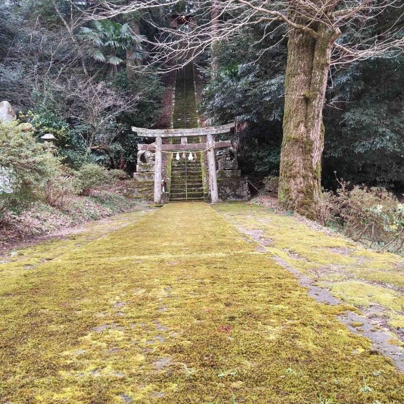 富能加神社,島根県出雲市所原町3549