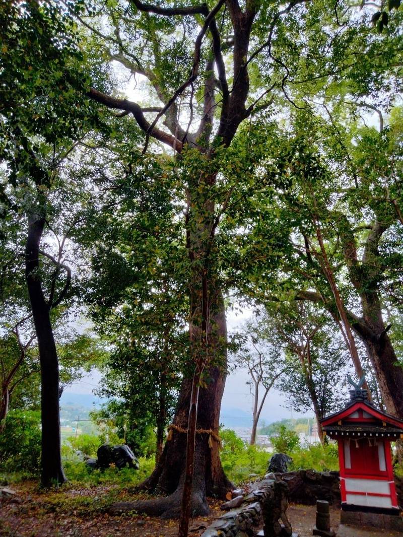 平群坐紀氏神社,奈良県生駒郡平群町上庄5-1-1
