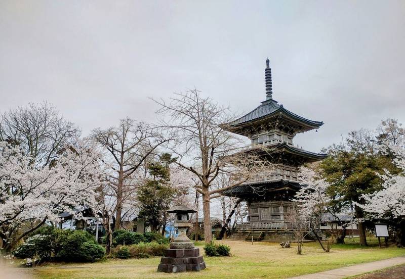 五智国分寺,新潟県上越市五智3-20-21