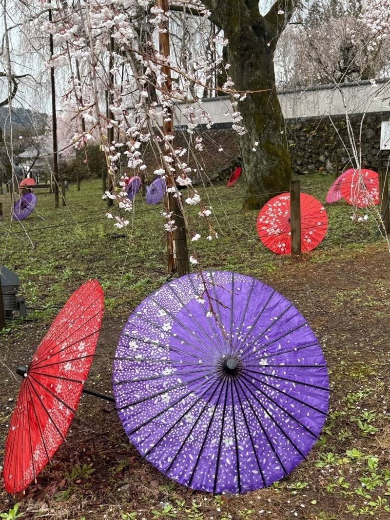 清雲寺,埼玉県秩父市荒川上田野６９０