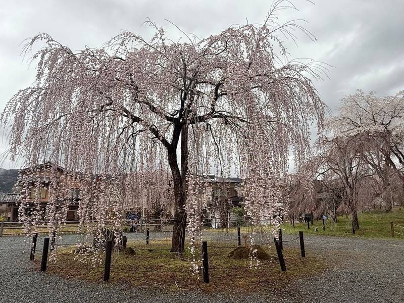 清雲寺,埼玉県秩父市荒川上田野６９０
