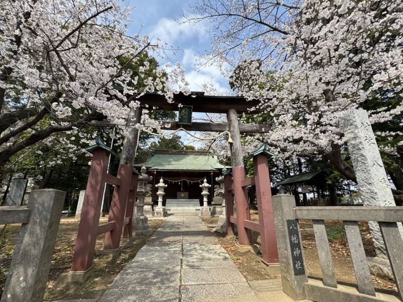 八幡木八幡神社,埼玉県川口市八幡木1-25-2
