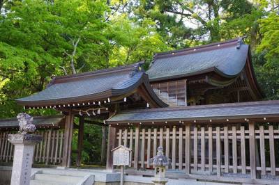 日向神社,見どころ,しあわせの碧鳥