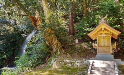 天神社      (北島國造館内),見どころ,あつかお