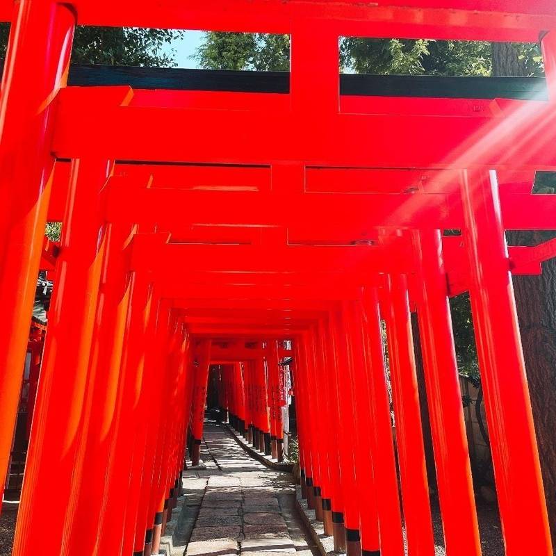 阿部野神社,大阪府大阪市阿倍野区北畠3-7-20