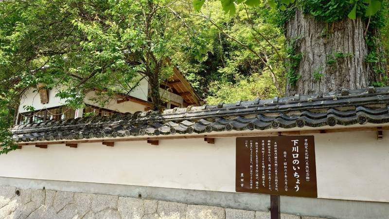 天神社,愛知県豊田市下川口町御堂294番地