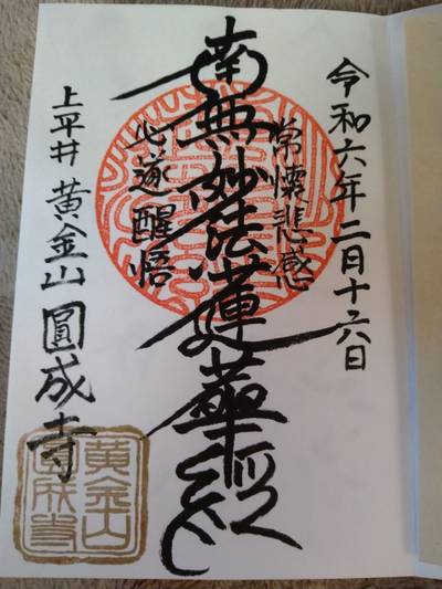 圓成寺,御朱印,姐さん。